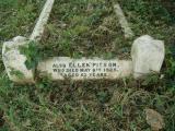 image of grave number 730730